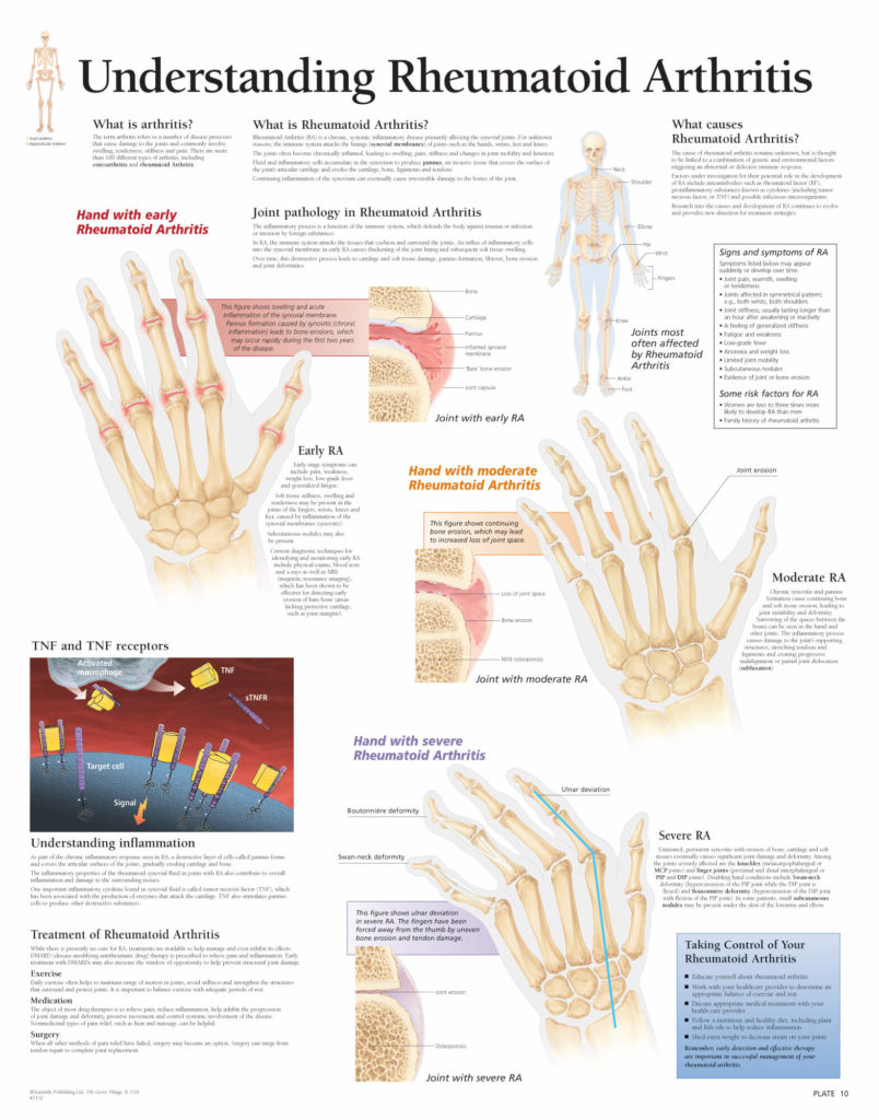 The Complete Portfolio Of Human Anatomy And Pathology | Scientific ...