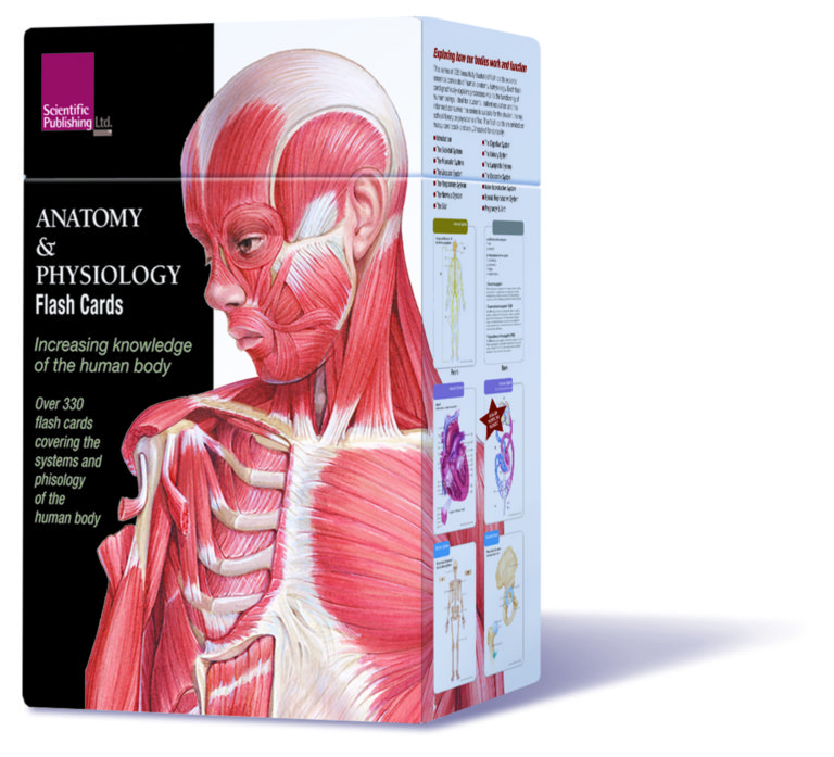 Anatomy & Physiology Flash Cards | Scientific Publishing