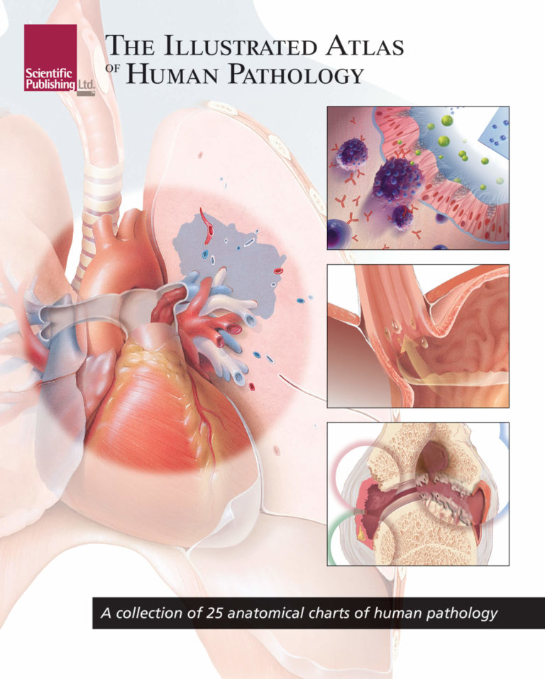 pathology illustrated govan free download