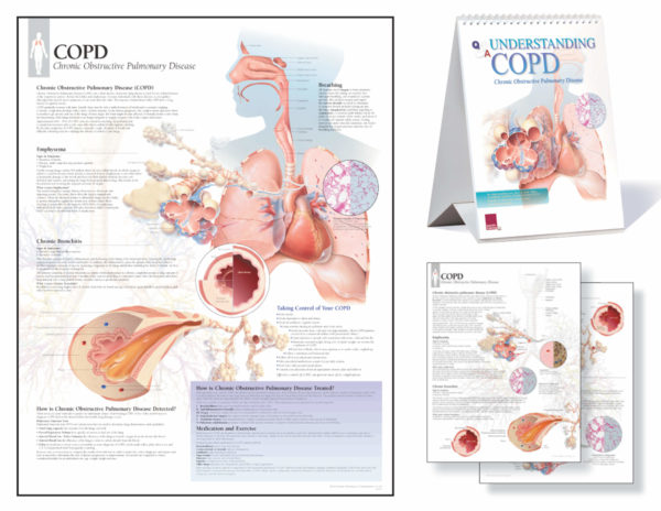 Understanding COPD Study Set | Scientific Publishing