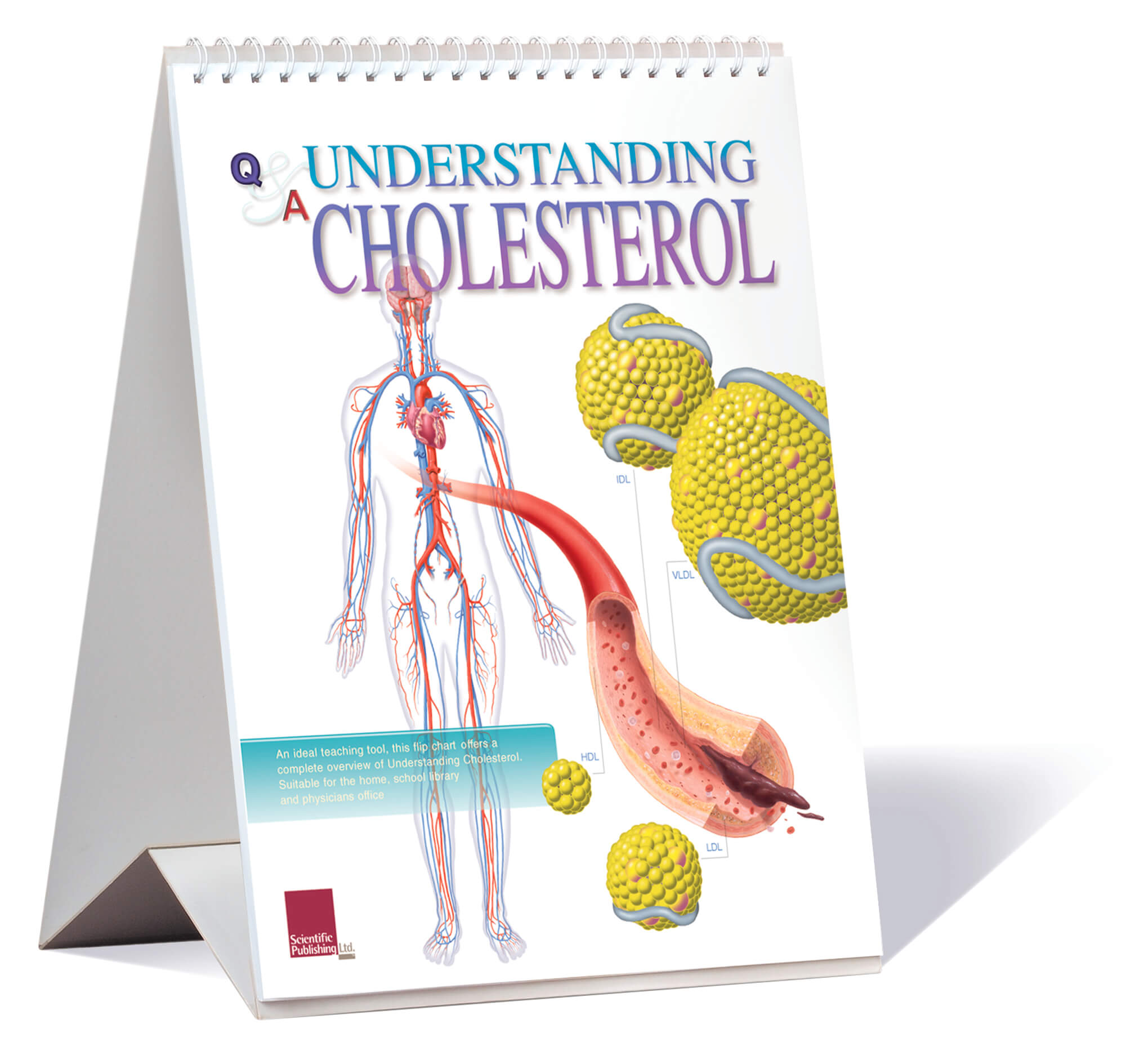 Understanding Cholesterol Flip Chart