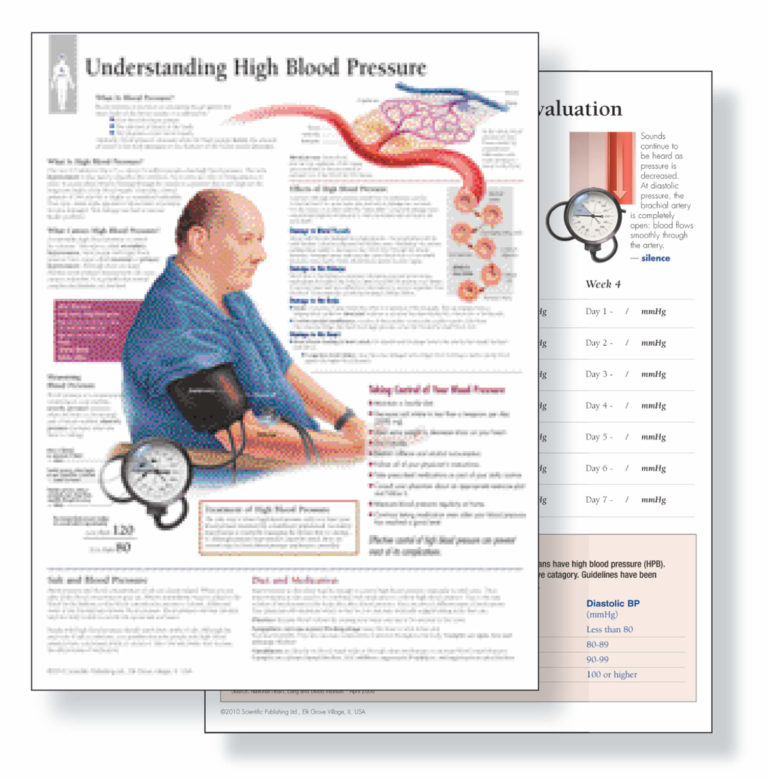 Understanding Hypertension Study Set (Replacement pads) | Scientific ...