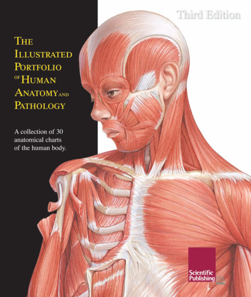 The Illustrated Portfolio of Human Anatomy and Pathology | Scientific ...