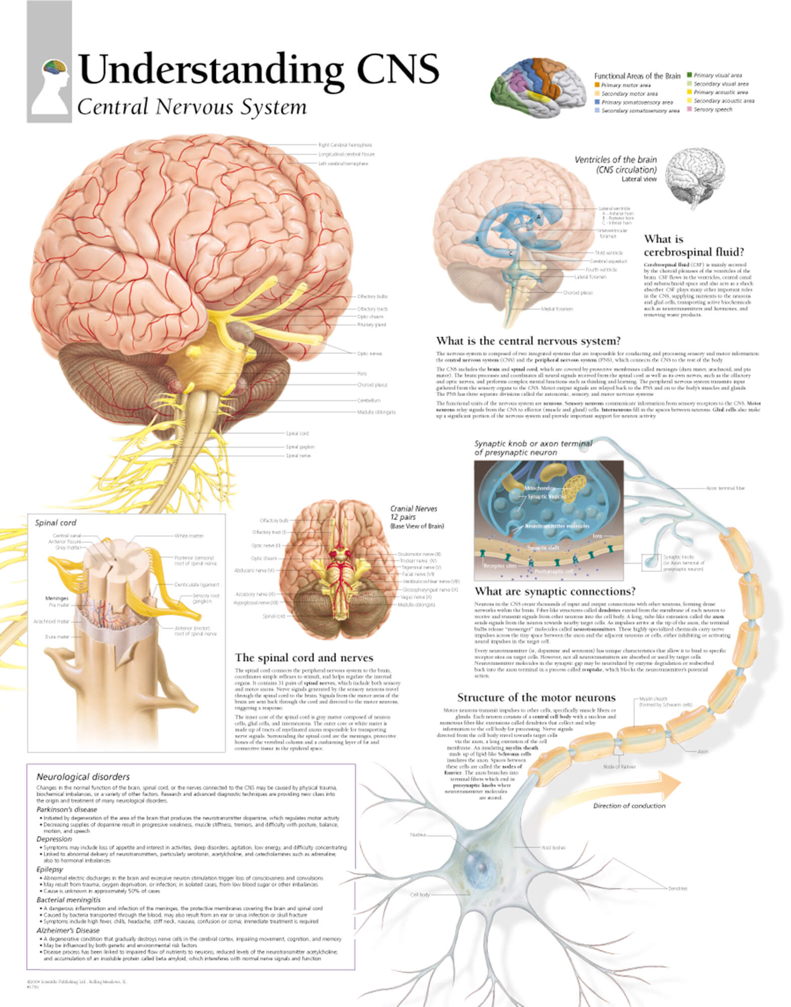 Understanding CNS Scientific Publishing