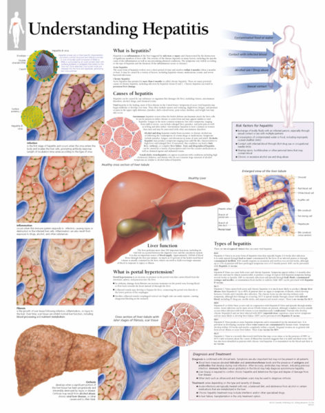 Understanding Hepatitis | Scientific Publishing