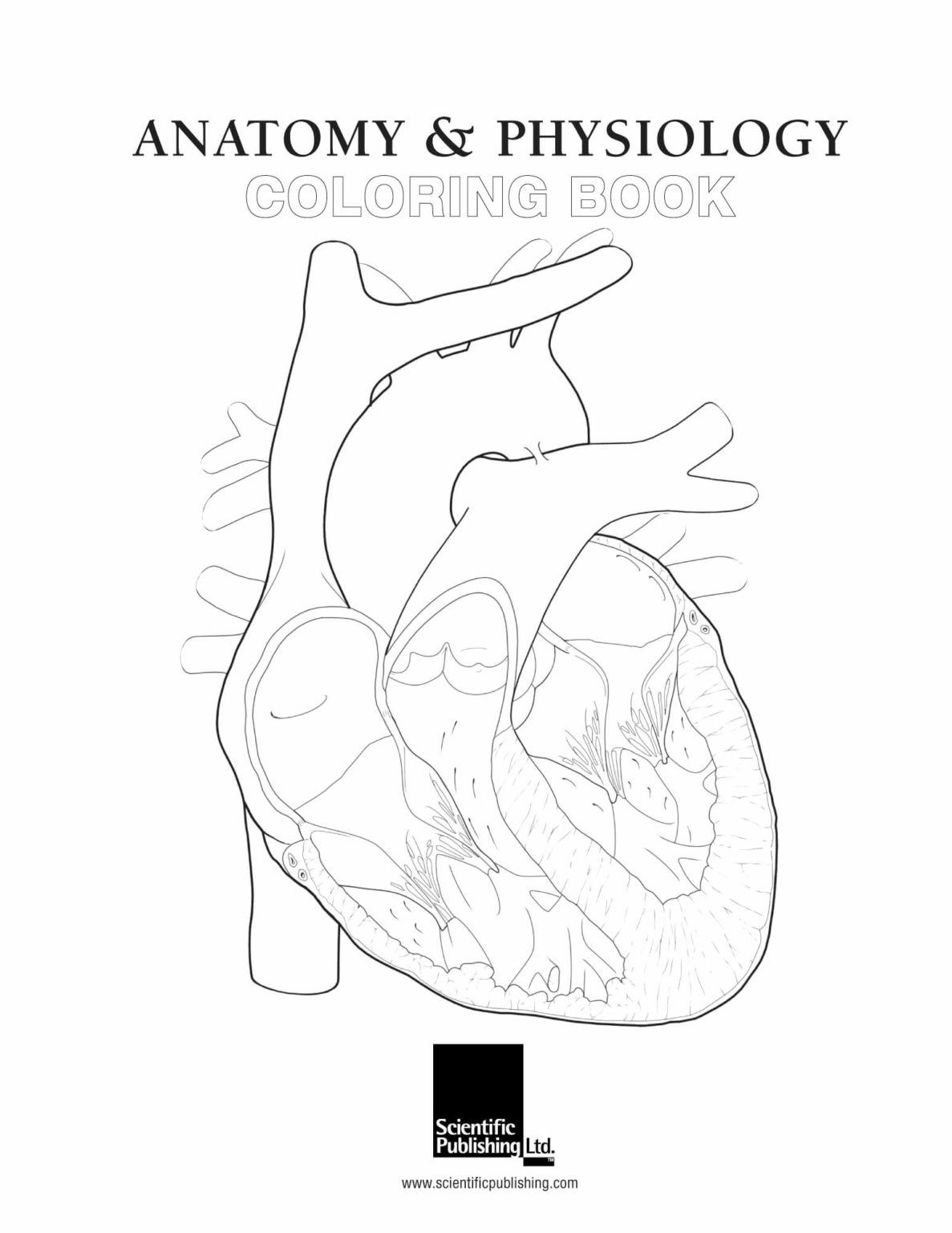 Anatomy & Physiology Coloring Book Scientific Publishing Anatomy