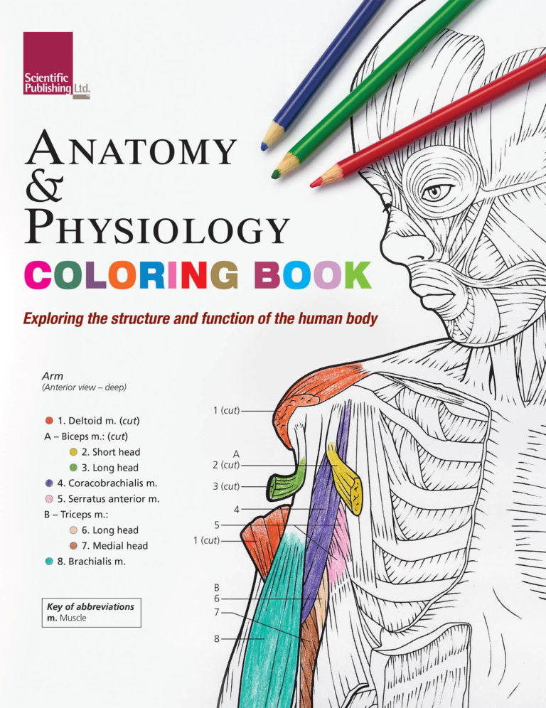 Anatomy & Physiology Coloring Book | Scientific Publishing Anatomy ...